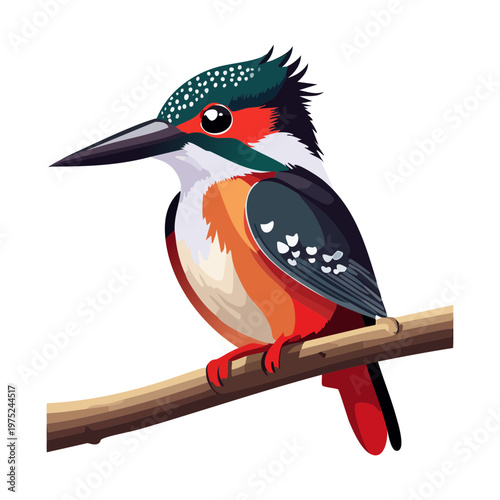 kingfisher bird diving for aquatic nature themes and river wildlife awareness and creative animal art for digital and print media projects in vector format