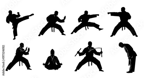 Martial Arts and Fitness Vector Silhouettes: Fighters Posing, Kicking, Punching, Meditating, Bowing
