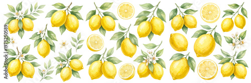 Foto A watercolor collection of lemon fruits featuring whole lemons, sliced citrus, green leaves, and blossoms in a fresh botanical style isolated on white background
