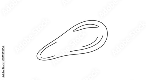 Hand-drawn illustration of a single mussel shell, isolated on a white background