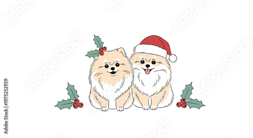 Two fluffy pomeranian dogs decorated for christmas with a holly branch and a red santa claus hat on a white background.