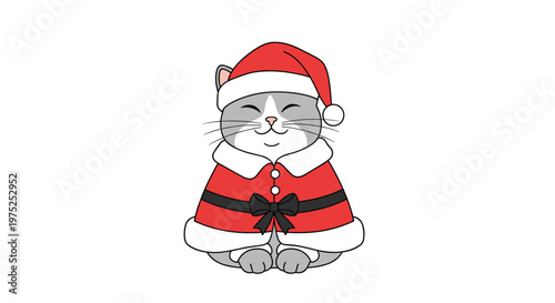Grumpy but cute gray and white cat sitting and wearing a red santa claus hat and coat for christmas holidays.
