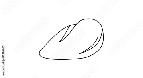 Simple Line Drawing of a Mussel Shell on White Background