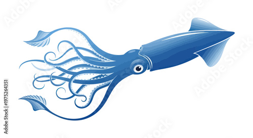 Blue Squid Illustration on White Background