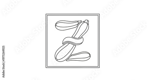 Zucchini Letter Z Shape Outline Illustration