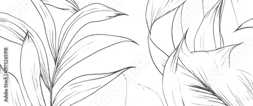 Delicate of lush green leaves with flowing lines and soft shading on a white background leaf foliage