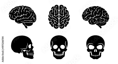 Human brain and skull icons set, anatomical head and mind vector illustrations, black silhouette medical symbols for science and education