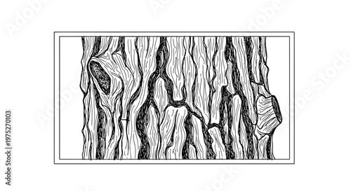 Detailed Black and White Illustration of Rough Tree Bark Texture with Knots