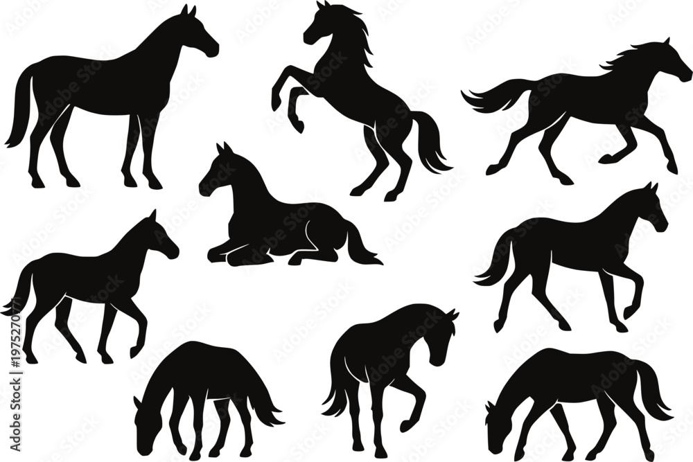 Obraz premium Horse multiple poses silhouette vector illustration set