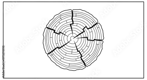 Cracked Tree Trunk Cross Section with Growth Rings and Radial Cracks, Wood Texture
