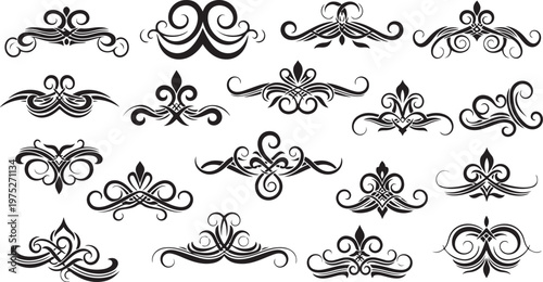 Collection of elegant black and white ornamental design elements