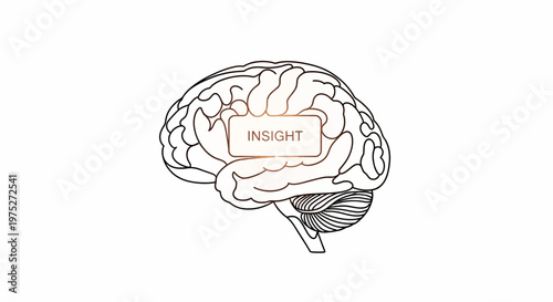 Brain with glowing INSIGHT text, symbolizing idea, creativity, and knowledge