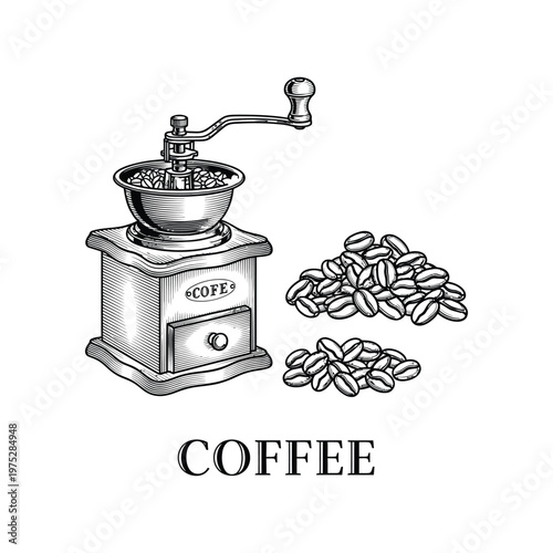 Hand-drawn illustration depicting a classic manual coffee grinder with a collection of raw coffee beans, symbolizing the traditional craft of fresh coffee preparation for a rich, aromatic beverage