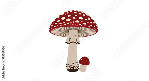 A charming illustration of a large fly agaric mushroom with its iconic red and white-spotted cap next to a smaller one.