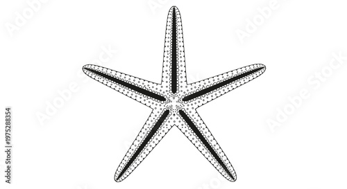 Simple black and white line art illustration of a five-pointed starfish or sea star on a plain white background.
