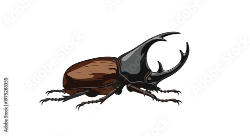 Detailed and realistic vector illustration of a large brown and black rhinoceros beetle from a side-view profile.
