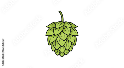 Simple cartoon-style vector illustration of a single fresh green hop cone used for brewing beer on a white background.