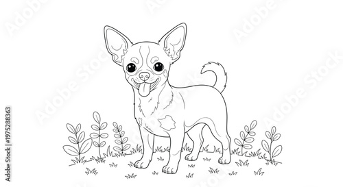 Cute and simple black and white line art coloring book page featuring a happy chihuahua dog standing in the grass.