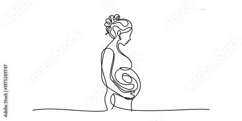 A beautiful continuous line drawing of a pregnant woman holding her belly in a minimalist style Vector, illustration