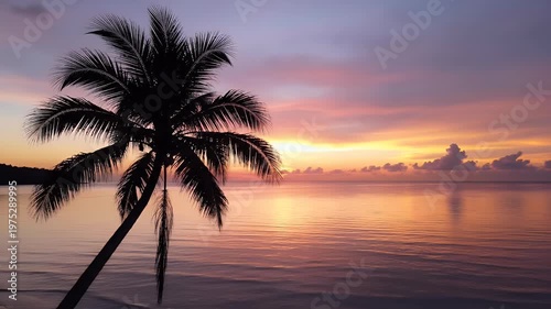 Sunset Palm Tree Over Calm Ocean At Dusk.