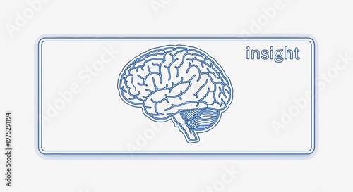 Brain Insight Concept