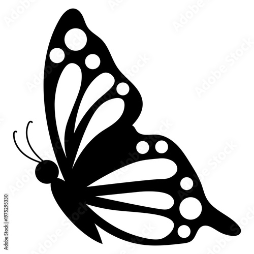 Butterfly Insect Illustration