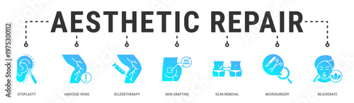 Aesthetic Repair web banner icon vector illustration featuring Otoplasty, Varicose Veins, Sclerotherapy, Skin Grafting, Scar Removal and Microsurgery