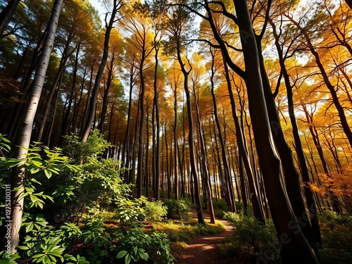 Abstract forest rendered in crisp geometric forms, captured from a bold dutch angle perspective for a striking visual rhythm,  dutch angle,  symmetrical