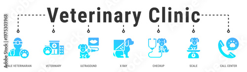 Veterinary Clinic banner presenting diagnostic tools and professional services for accurate pet health assessment