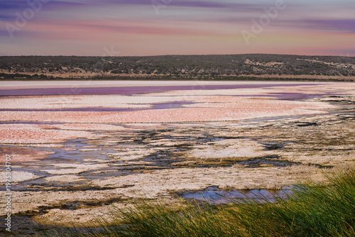 Hutt Lagoon pink salt lakes at sunset with pastel sky and grass in a remote scenery