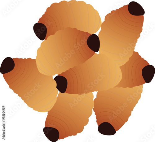 A detailed vector illustration of sago worm, an edible insect widely consumed as a high-protein food in tropical regions.