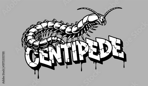 Long centipede crawling over urban graffiti text font bold vector illustration