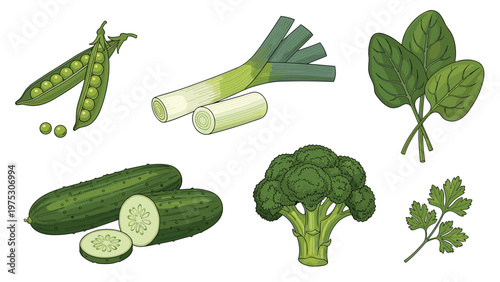 Healthy selection of green vegetables featuring peas leeks spinach cucumbers broccoli and parsley for nutrition and cooking themes.