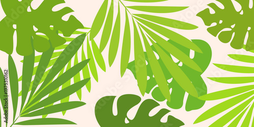Leaves background with summer fun design concept, abstract illustration with exotic jungle leaves, colorful design, summer background, tropical leaves.Tropical leaf background, palm leaves, monstera