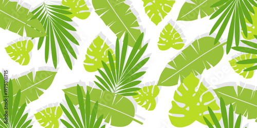 Leaves background with summer fun design concept, abstract illustration with exotic jungle leaves, colorful design, summer background, tropical leaves.Tropical leaf background, palm leaves, monstera