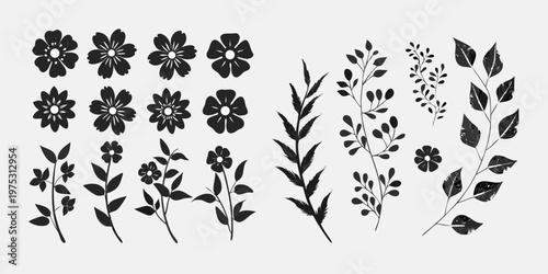 Black and white botanical illustration featuring flowers and leafy stems