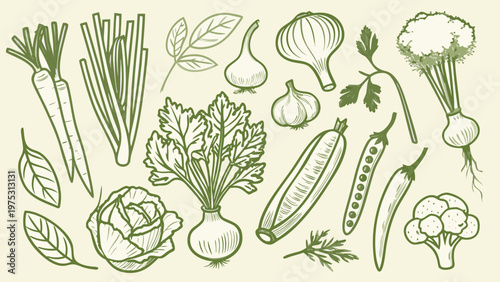 A botanical sketch displaying various fresh vegetables and leafy greens