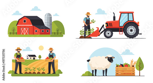 Collection of farm activities including a red barn tractor harvesting vegetables and raising sheep for rural life and agriculture.