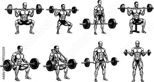 Weightlifting Exercise Set with Barbell Squat, Deadlift and Strength Training Poses, Bodybuilding Workout Routine Vector Illustration for Fitness, Gym and Training Guides