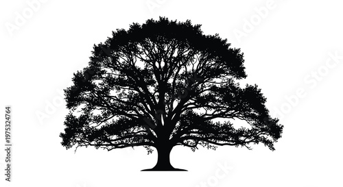 A striking black silhouette of a large mature oak tree with dense foliage and expansive branches silhouette high quality professional detailed