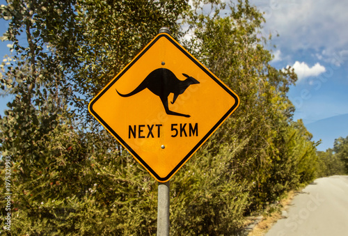 A yellow diamond shaped traffic sign warning of kangaroos on the road for the next 5 kilometers.
