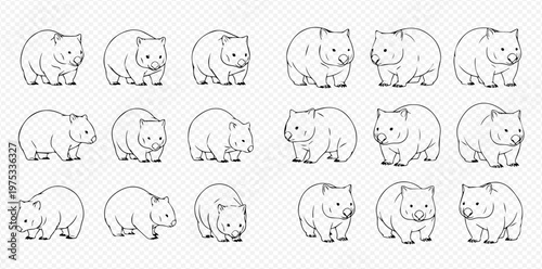 Set of cute wombat line art illustrations in various poses on a transparent background.