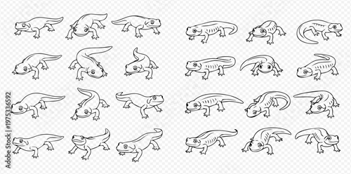 Set of cute cartoon newt and axolotl characters in various poses, black and white outline illustrations.