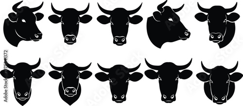 Cow head silhouettes collection, cattle face front and side views, farm animal icons black shapes isolated on white background, agriculture livestock concept