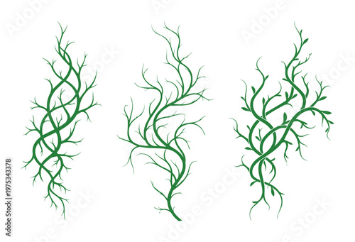 Climbing Green Ivy Vines and Intertwined Branches Minimalist Silhouette Graphic Illustration Decorative Element for Wall Art Border and Nature Design Projects