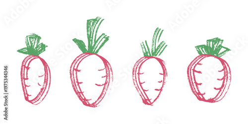 Hand drawn farm daikon radish beet beetroot plant with green leaves Fresh vegetable doodle set Healthy eco food Organic garden vegetarian food For design, print, packaging, decor, kids books
