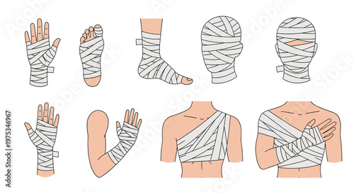 Collection of detailed illustrations showing various medical bandage techniques and dressings applied to different parts of the human body for injury.