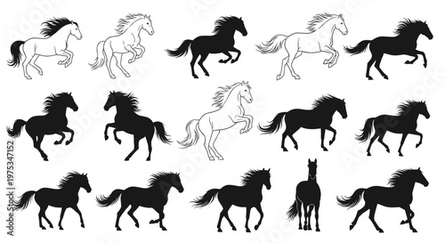 Comprehensive collection of horse silhouettes in various active poses like galloping and jumping shown in black and white outlines.