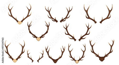 Set of different deer antler designs shown as trophies or natural forest elements in various shapes and sizes for hunting themes.