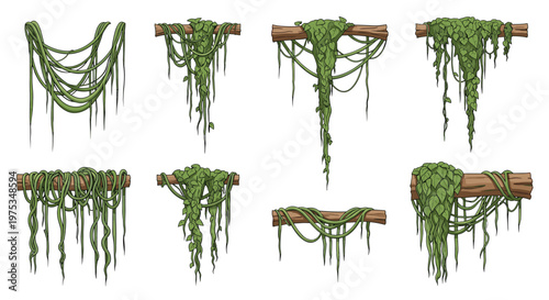 Set of various tropical jungle vines and lianas hanging from rustic wooden logs against a clean white background.
